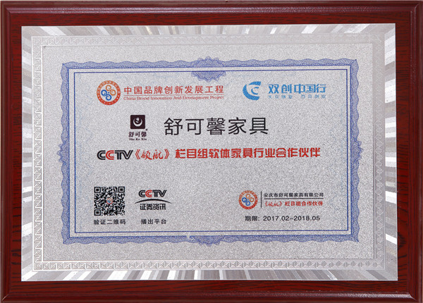 CCTV合作伙伴证书